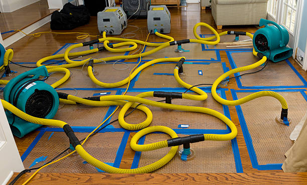 Professional Crawl Space Water Removal technician working in Carle Place, NY